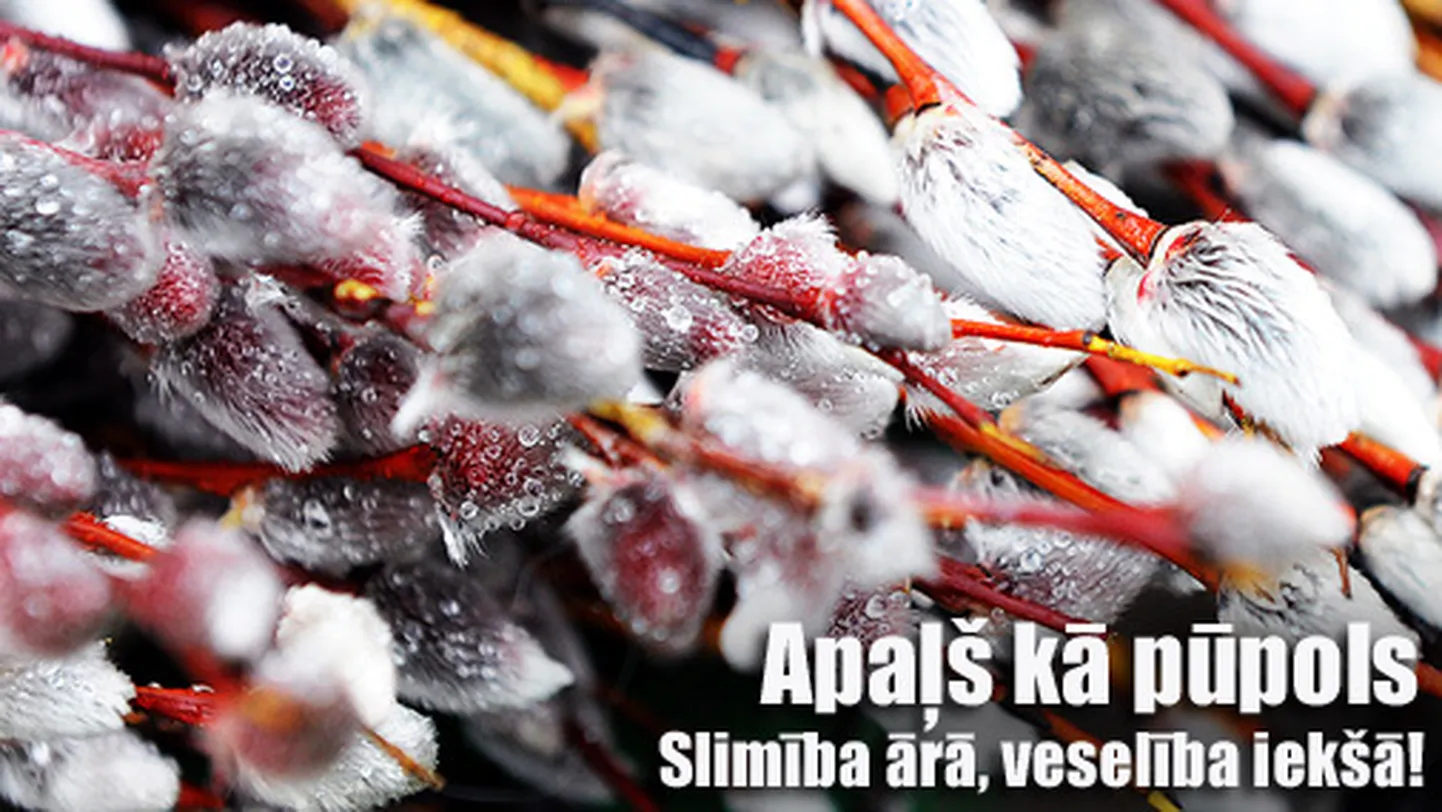 Raksta foto