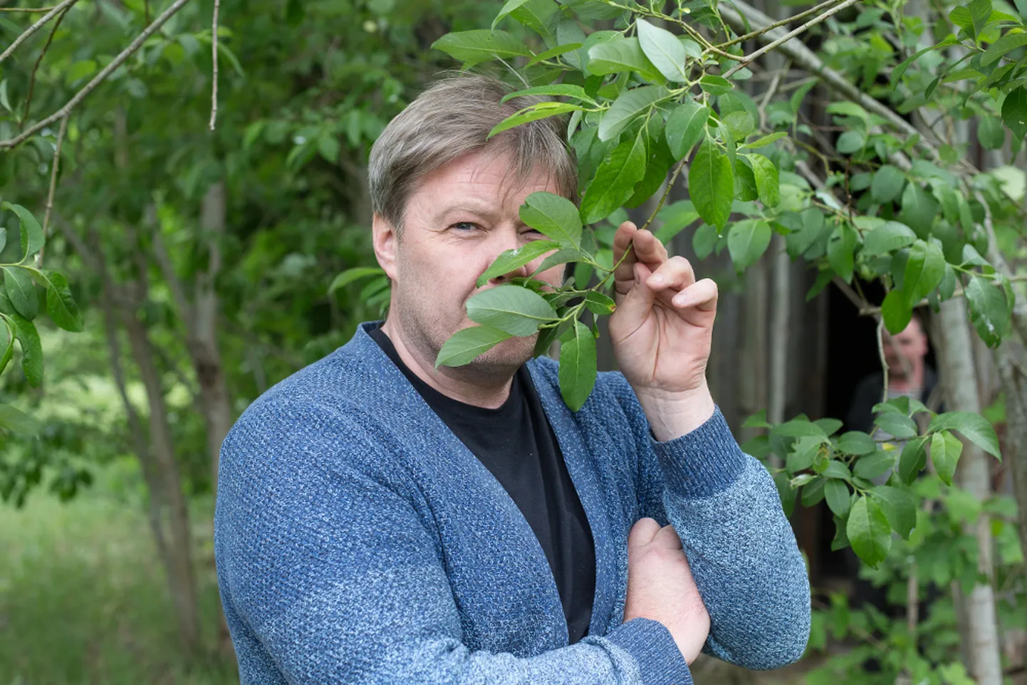 Margus Prangel: "Väga hea trupp on kokku saanud − mulle meeldib ka Tiit Alte "kuldkalake". Nils ja Jane on kui kümnesse ses lavastuses. Näitlejatel peab omavahel klapp, keemia tekkima ja ma usun, et meil on see tekkinud. Meil on siit ainult palju rõõmuga edasi minna."

MATTI KÄMÄRÄ