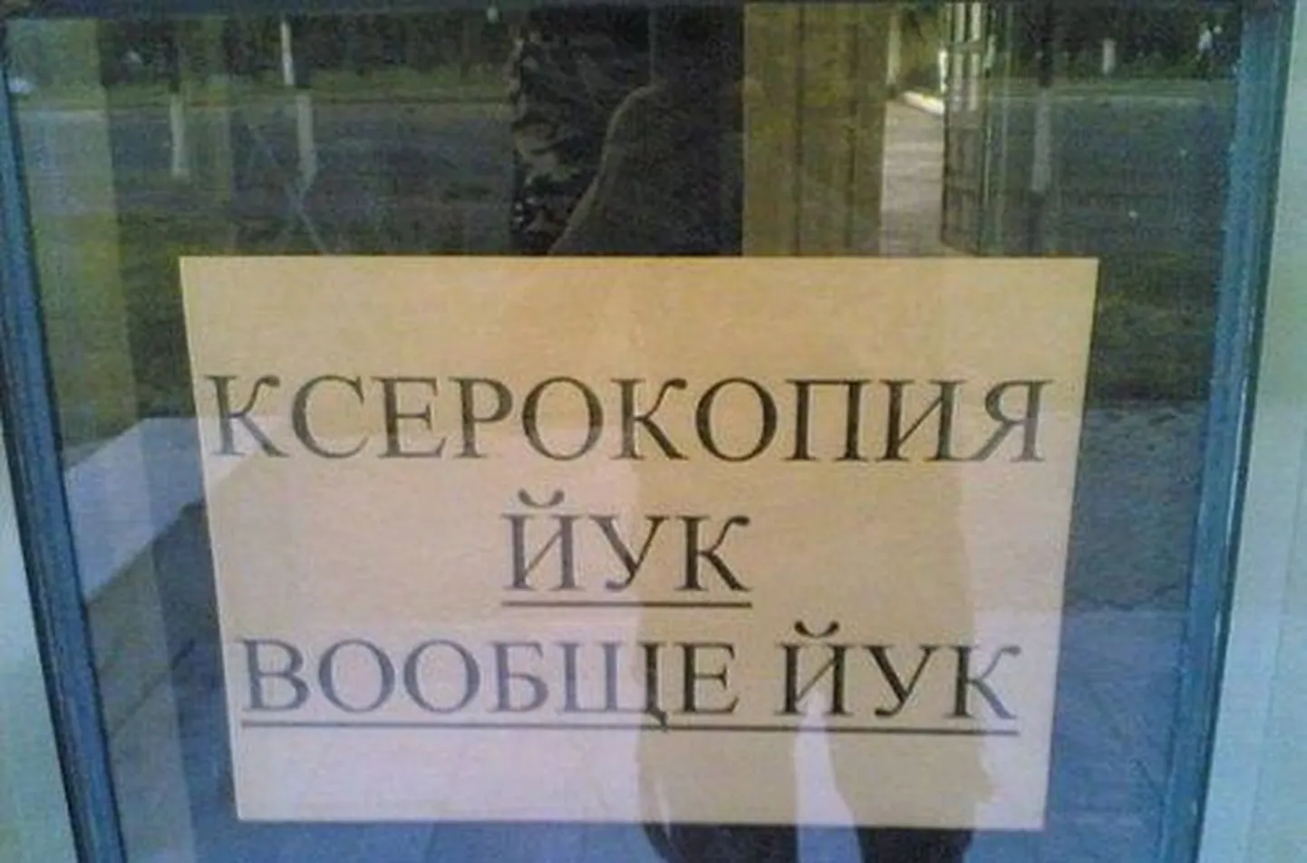 Фото статьи