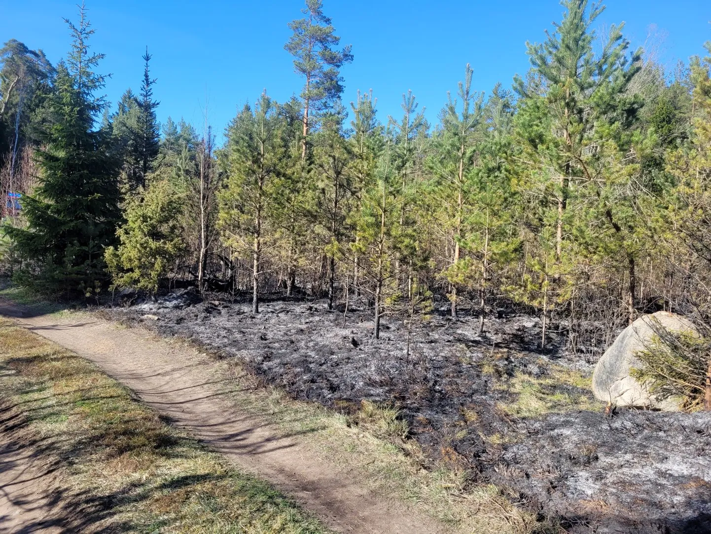 Kuremetsa põleng