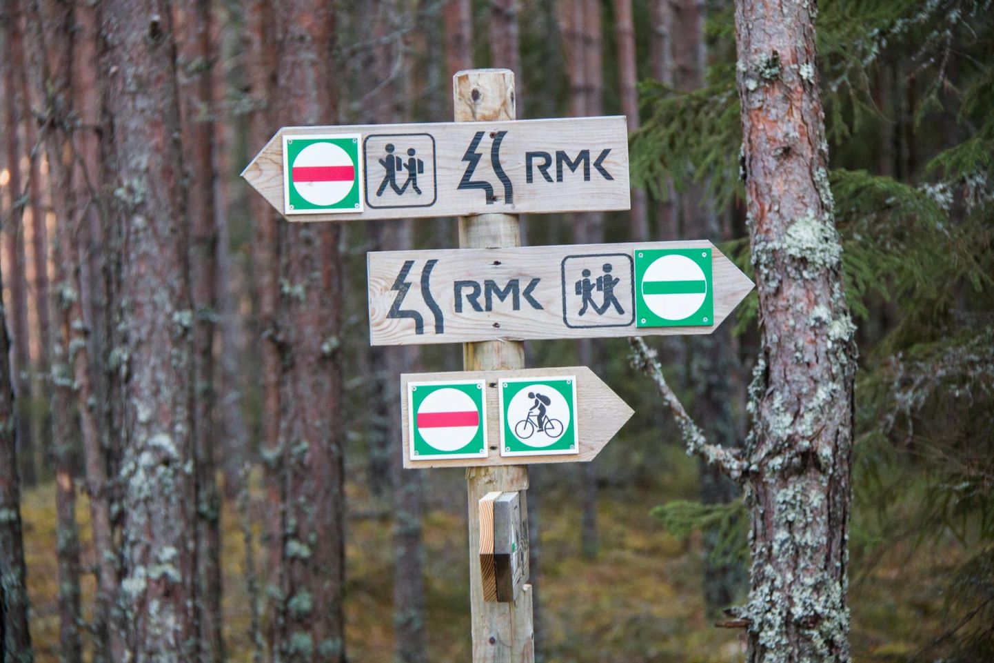 RMK matkaradu leiab kõikjalt üle Eesti. FOTO: Meelis Meilbaum/virumaa Teataja