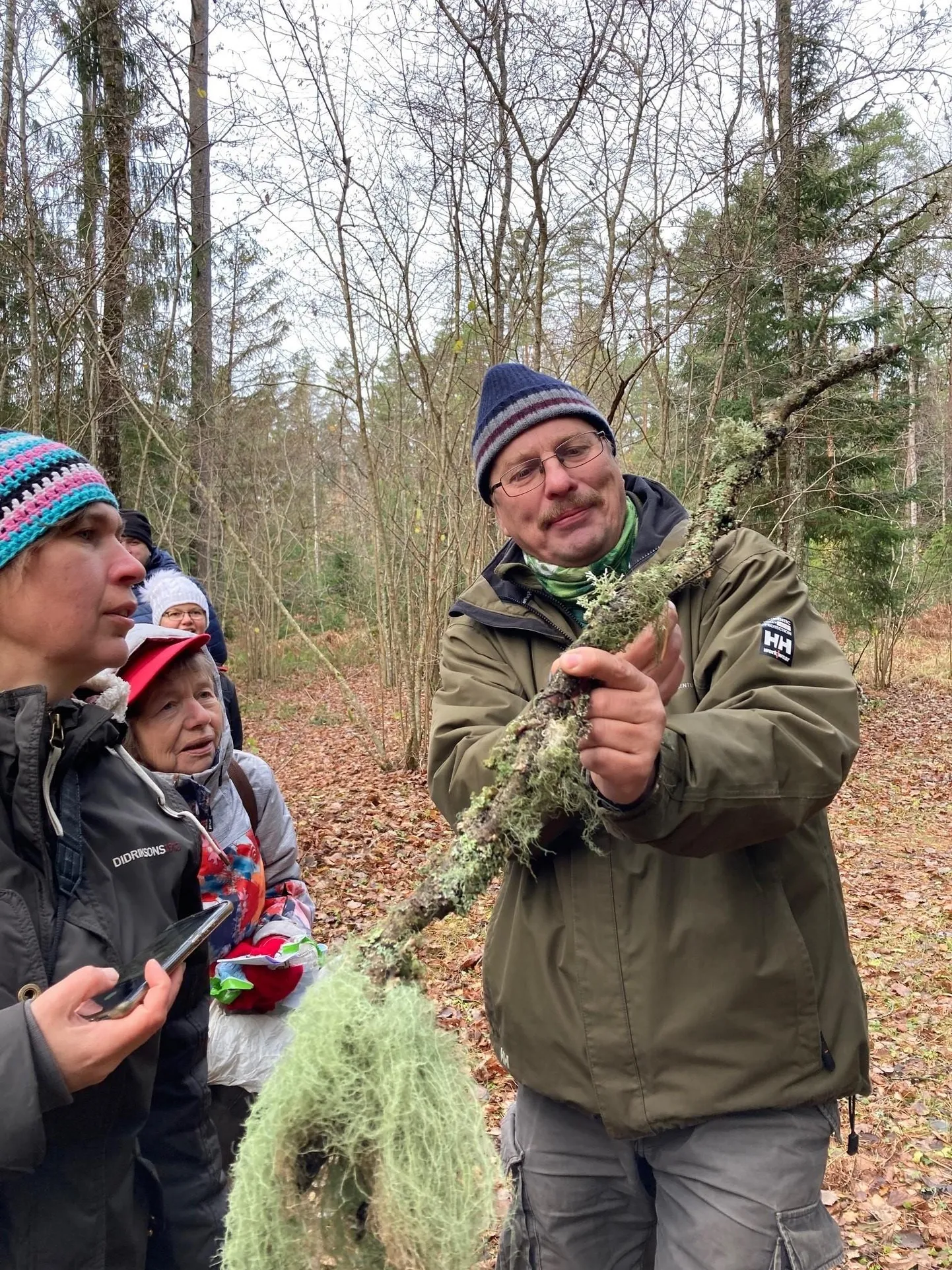 Mitmed samblad ja samblikud on elurikkuse näitajad.  FOTO: Krister Kivi