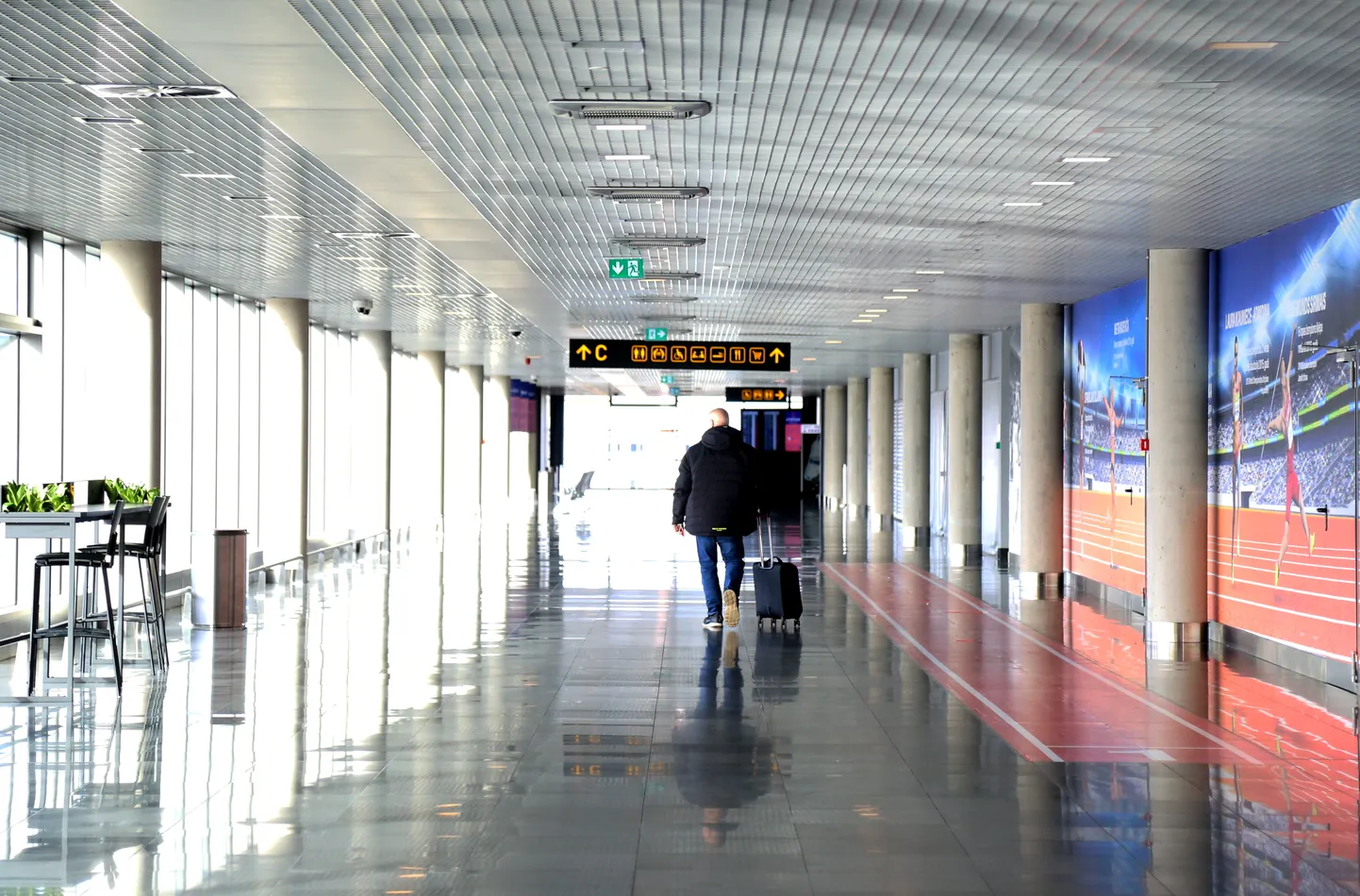 Фото статьи