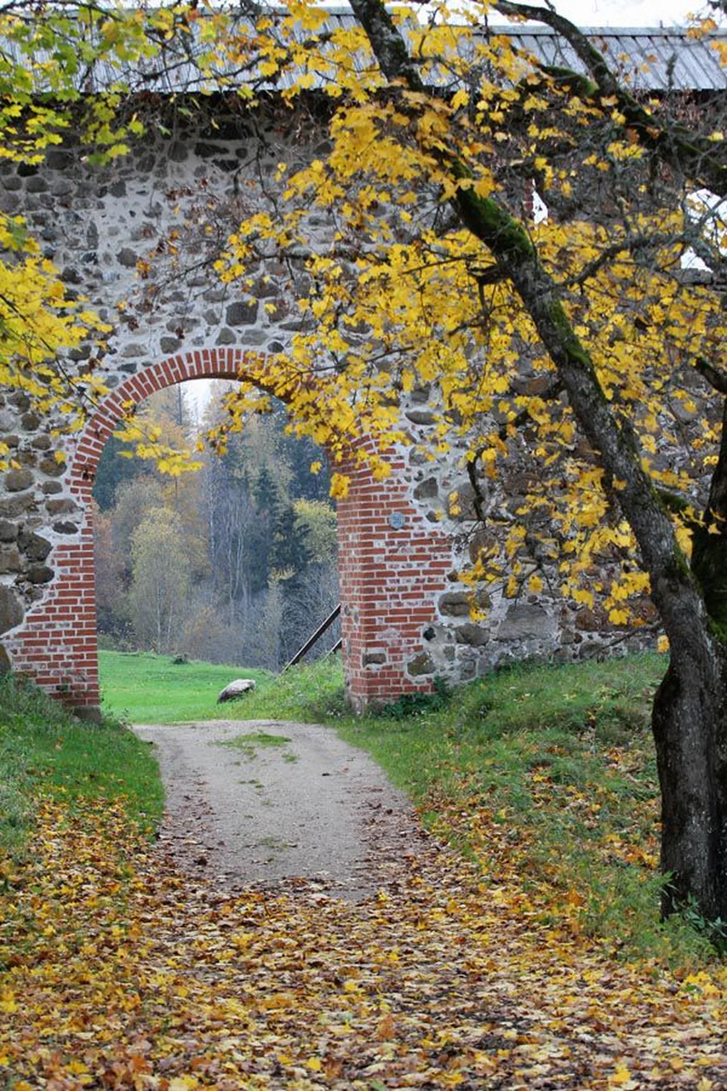 Muinsuskaitsjad pakkusid, et vallikraav tehtaks peavärava eest tühjaks ning linnusesse pääseks üle silla.