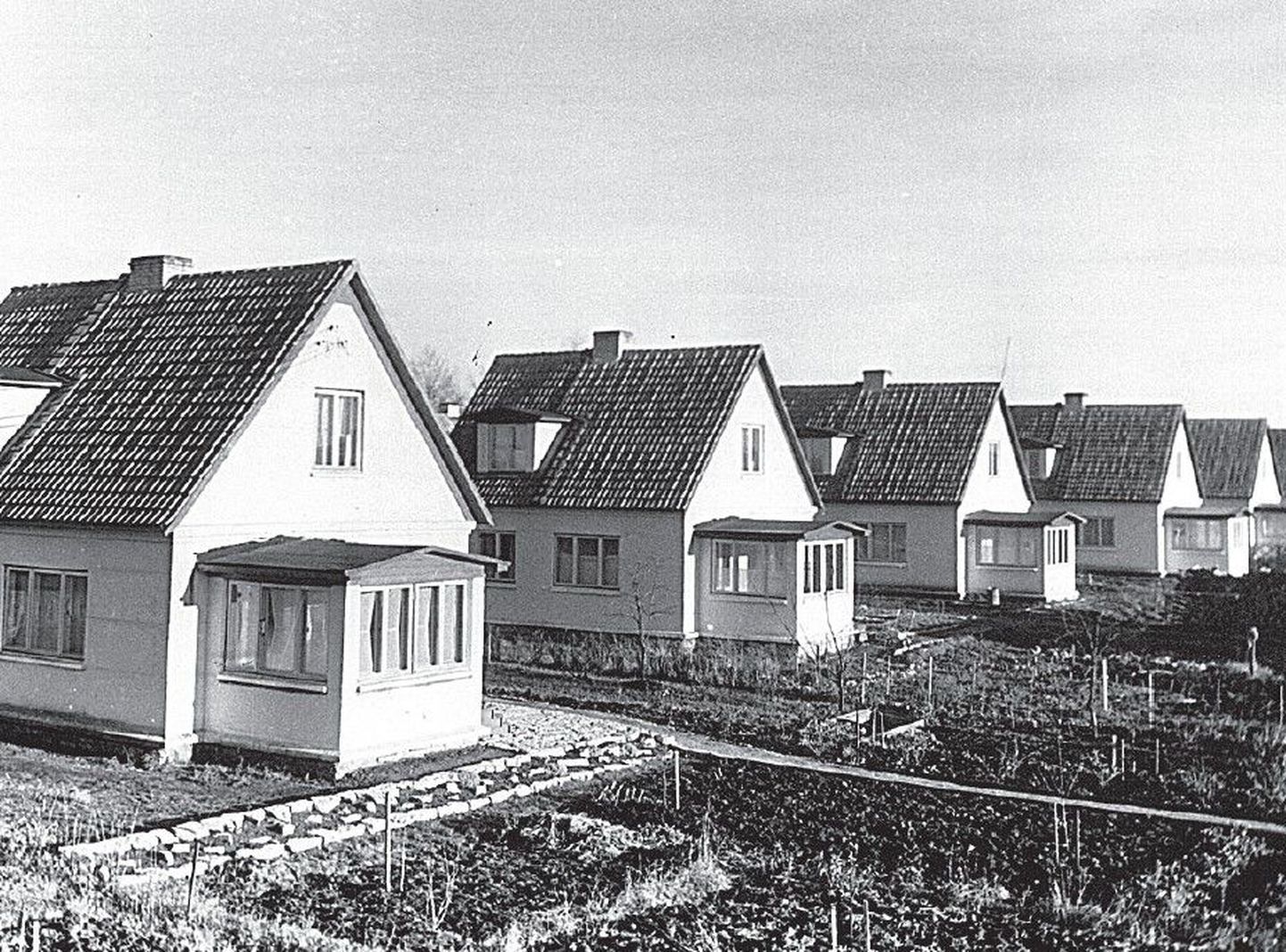 1950. aastatel ehitas Tallinna Masinatehas oma töötajatele Linnu tee ja Räägu tänava vahelisele alale majad, millest osa on tänini alles.