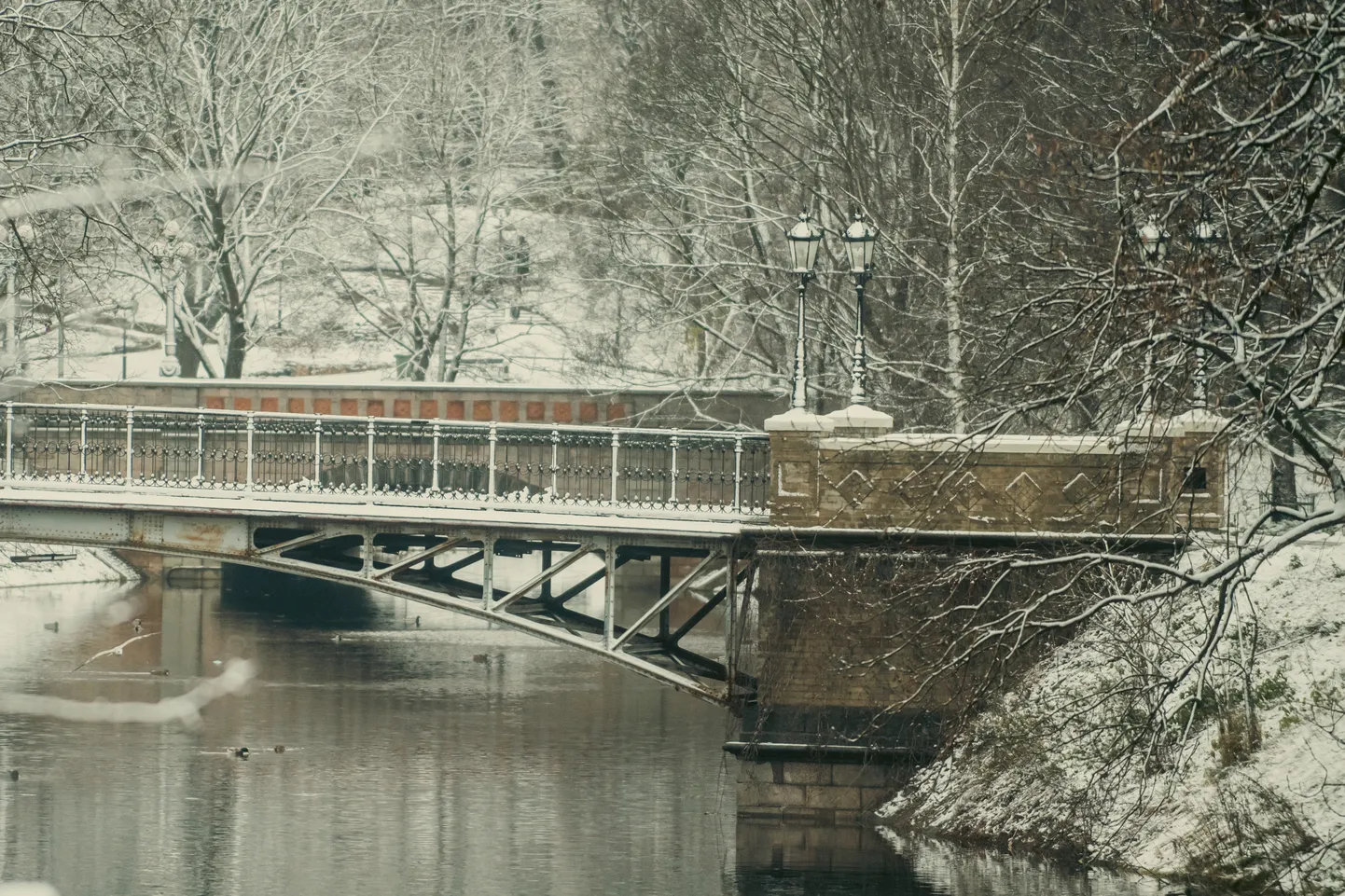 Pirmais sniegs Rīgā