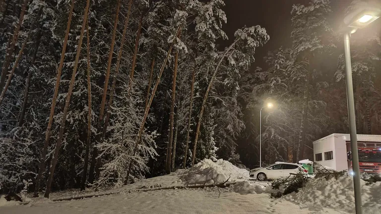 Tõrvas Puiestee tänava parklas murdunud puu.