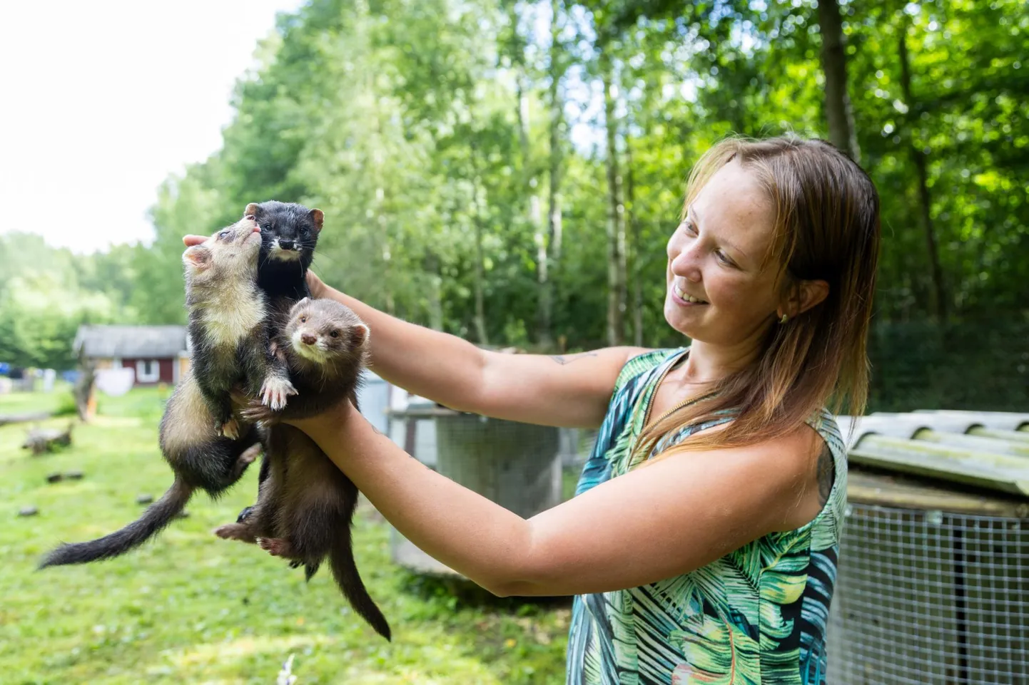 Sipelga külas avatud talude päeval huvilisi võõrustava Nugise talu perenaine Ksenija Kivirand näitas tuhkrupreilisid, keda külastajad talu nime järgi vahel ekslikult nugisteks peavad.