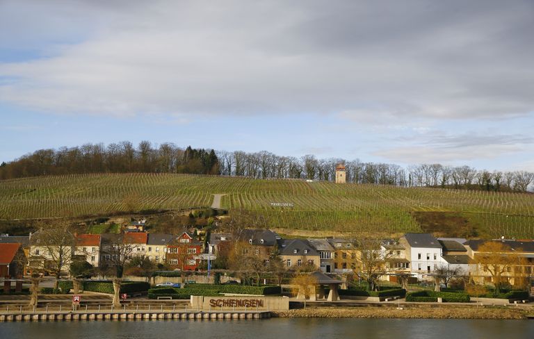 Luksemburg. Viinamarjakasvatus vaikse Schengeni küla taga. 