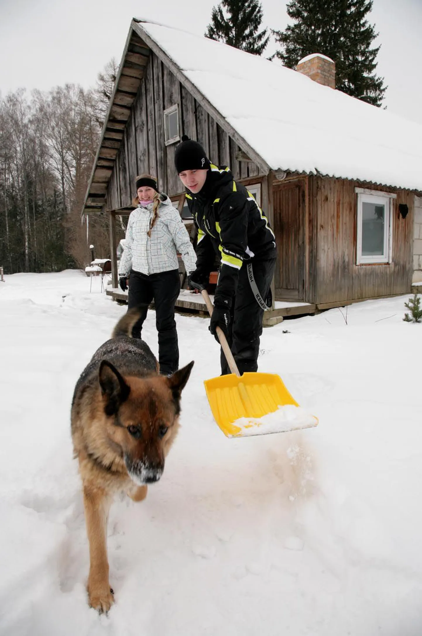 Huuksis elavad Elo ja Karl Essi möllavad koos koera Bellyga õues ja nad ei taha, et nende maja lähedusse avatakse veel üks karjäär, sest see tooks endaga kaasa veelgi rohkem müra ja tolmu nii, et perre sündivat last ei saa suvel õue viiagi.