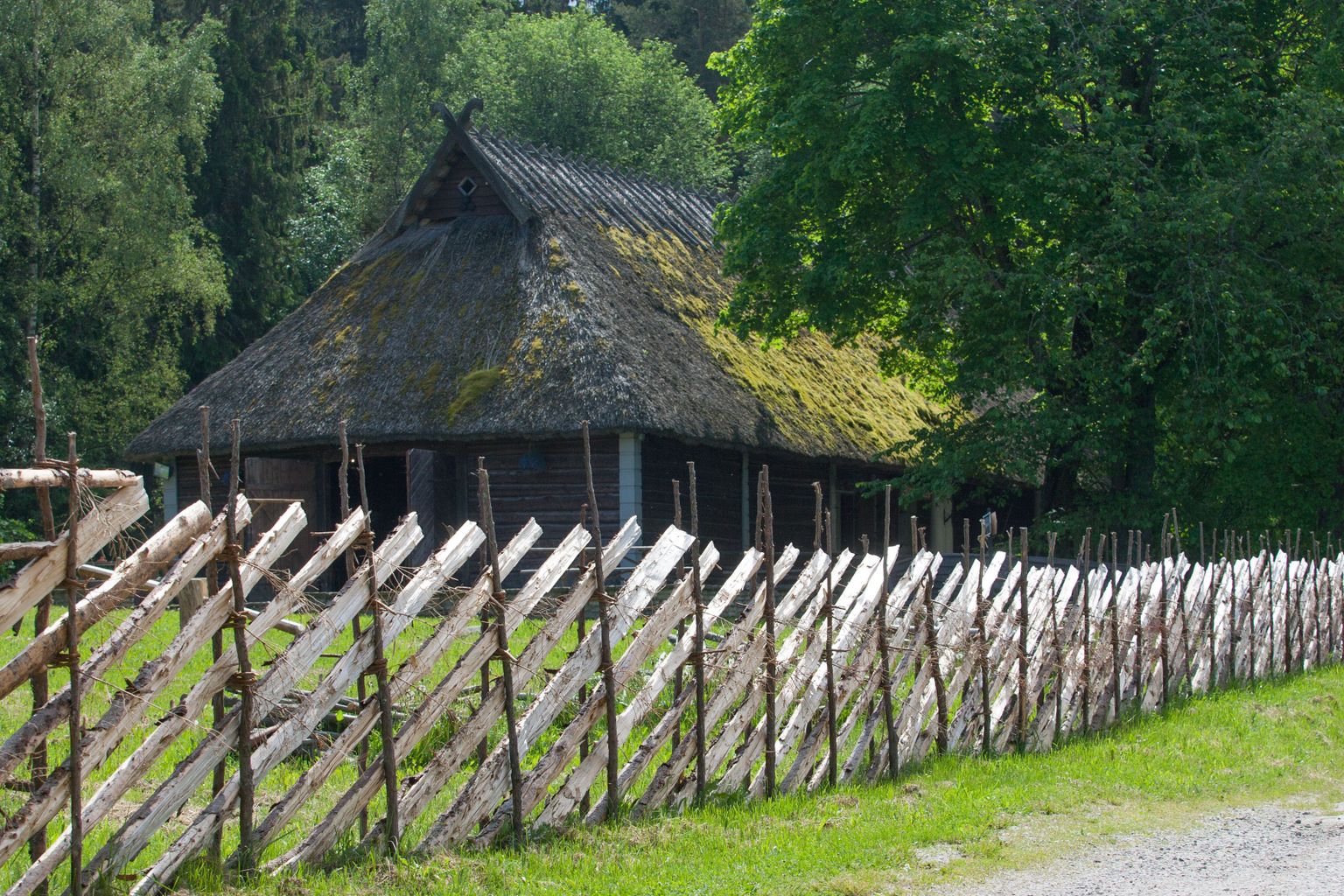 Altja küla.