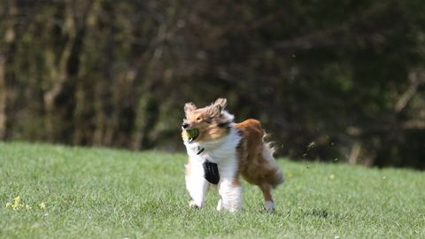 Svētdien saglabāsies brāzmains vējš