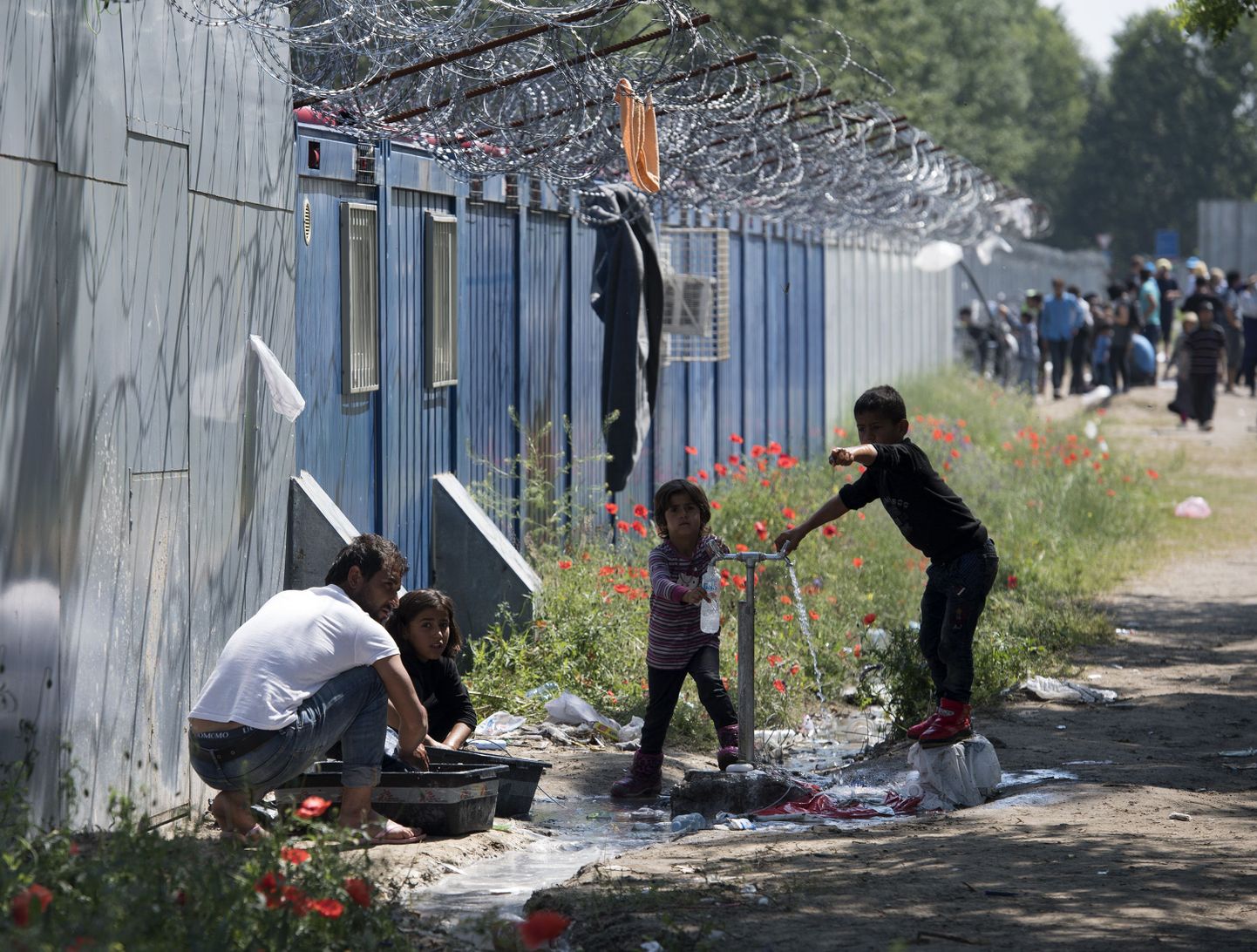 Põgenikelaager Serbia-Ungari piiril.