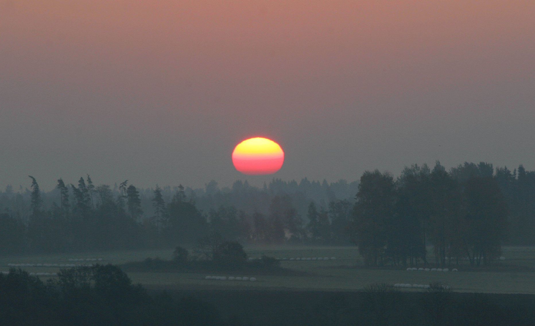 Päikesetõusu tervitab sookontsert Hüpassaare rabasaarel.