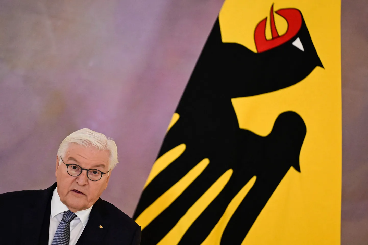 Saksamaa president Frank-Walter Steinmeier.