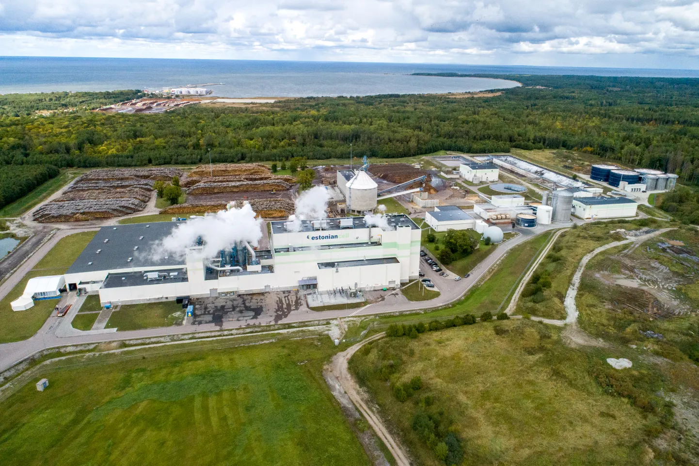 Estonian Cell.