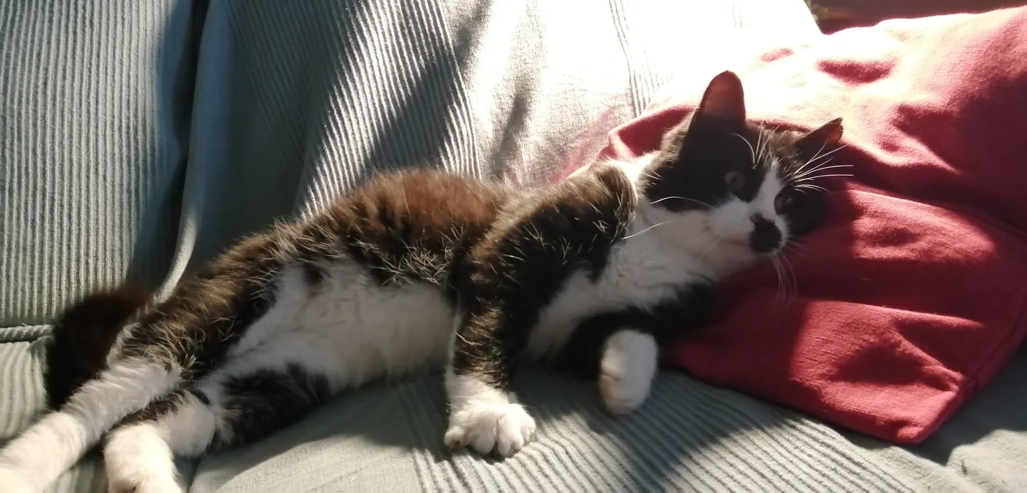 Võõras külaline võttis isegi uue nime omaks.