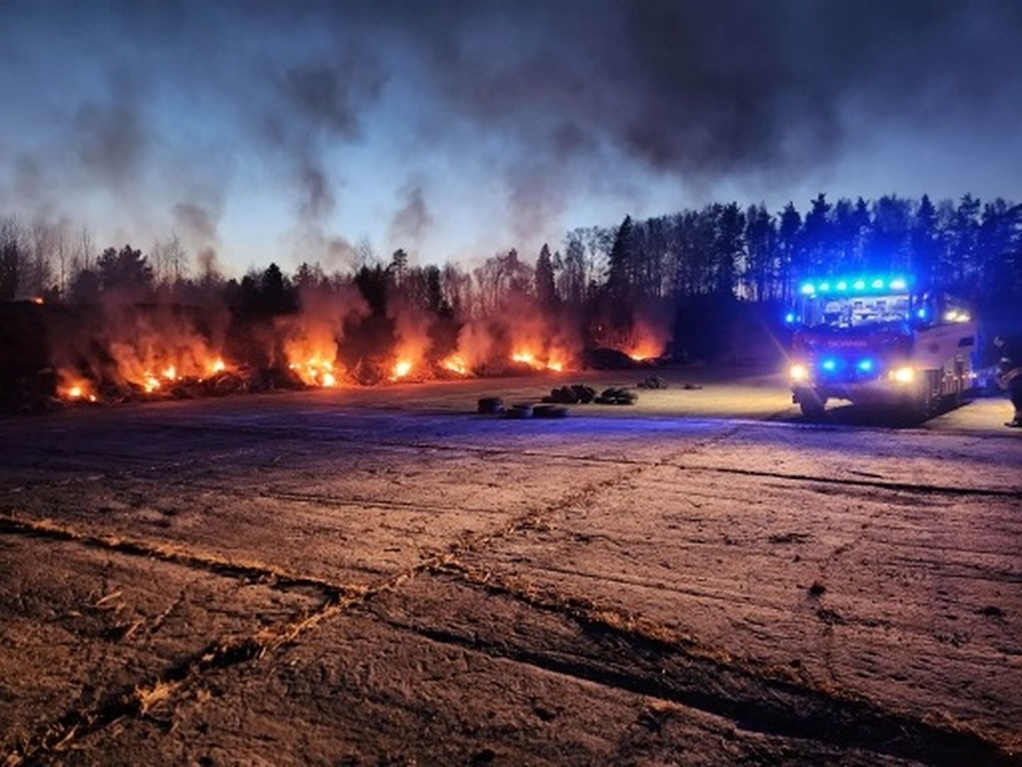 В Кохтла-Ярве 17 апреля старые автопокрышки горели в двенадцати разных местах, от них пожар перекинулся на поле.