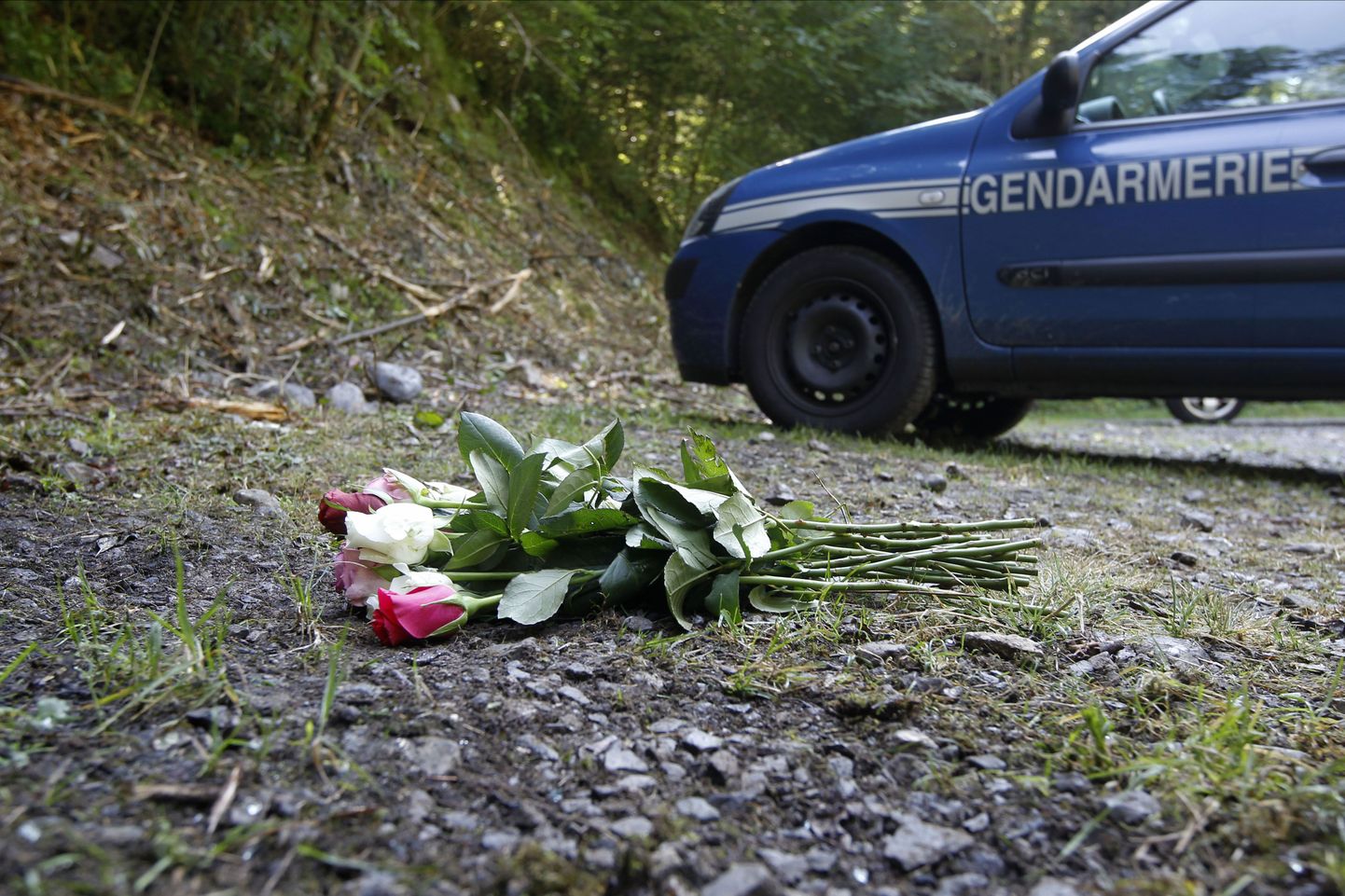 Prantsus Alpides Chevaline´is hukkus neli inimest