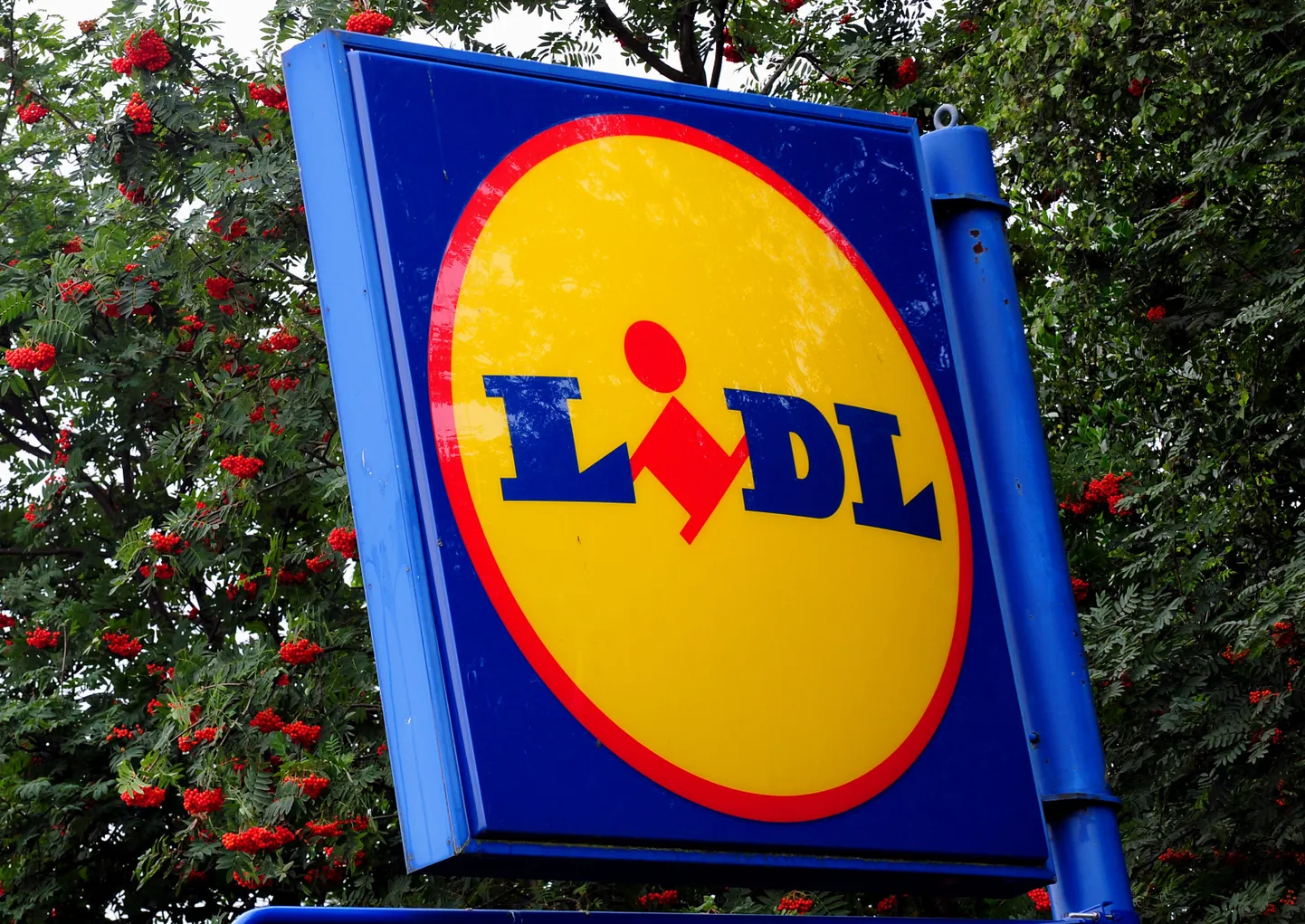 Lidl.