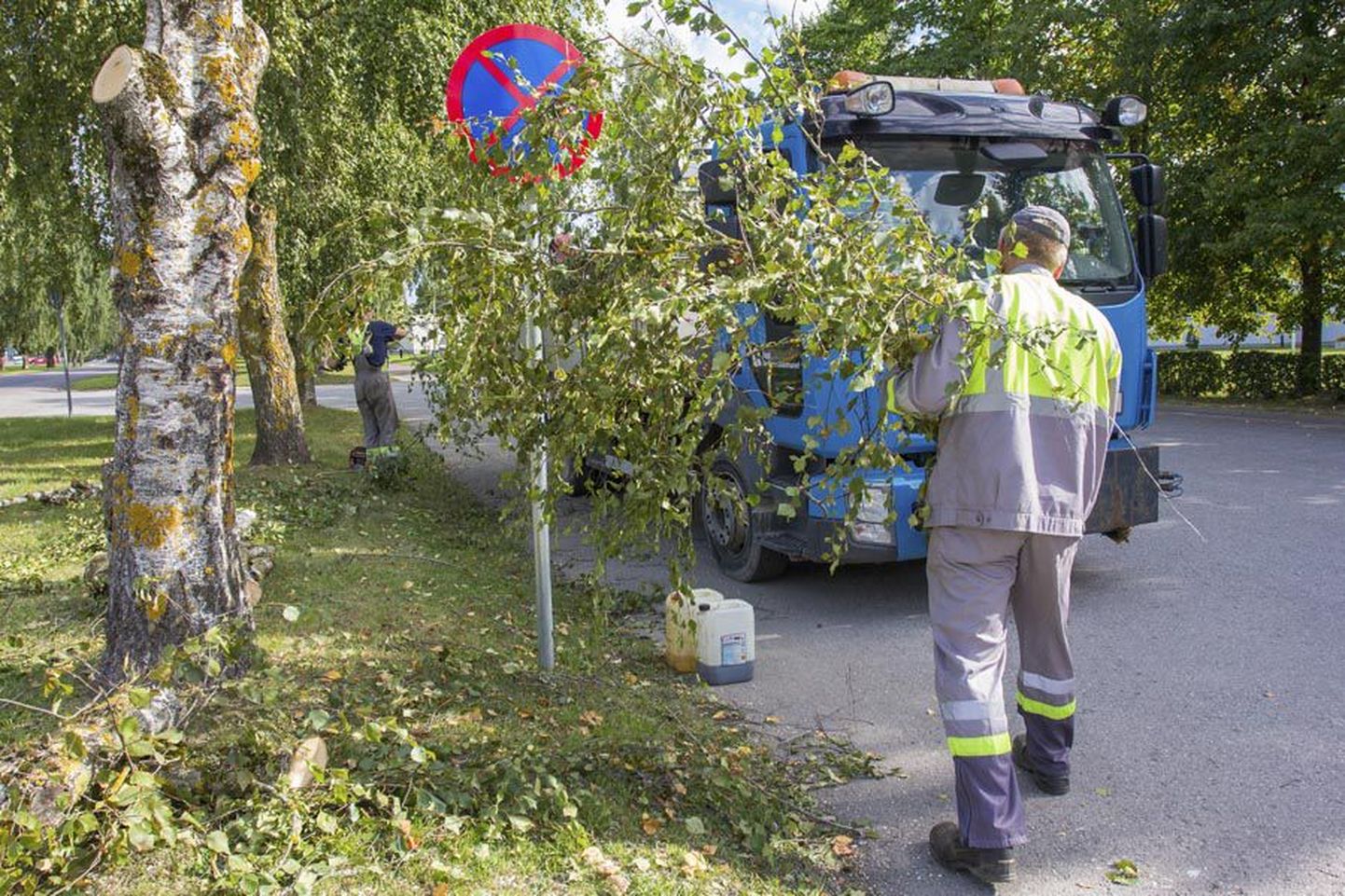 Eesti Keskkonnateenuste töötajad koristasid eile ennelõunal Riia maantee ääres langetatud kaskede oksi ning tükeldatud tüvesid.