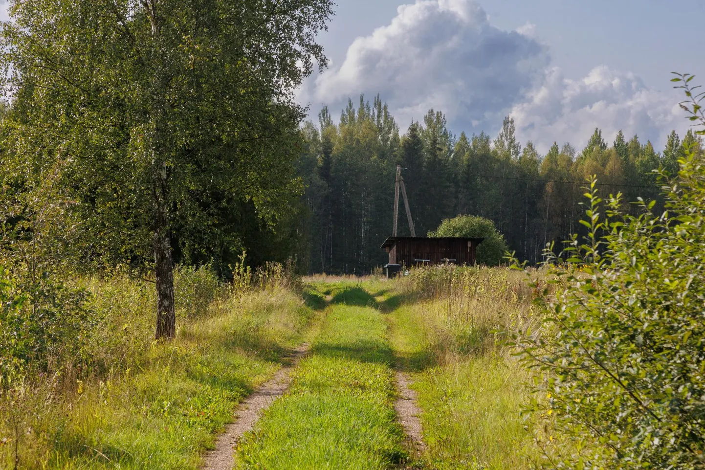Võrumaal Rõuge vallas asuv Laossaarõ küla jääb Nursipalu harjutusväljaku planeeritavasse laiendusse.