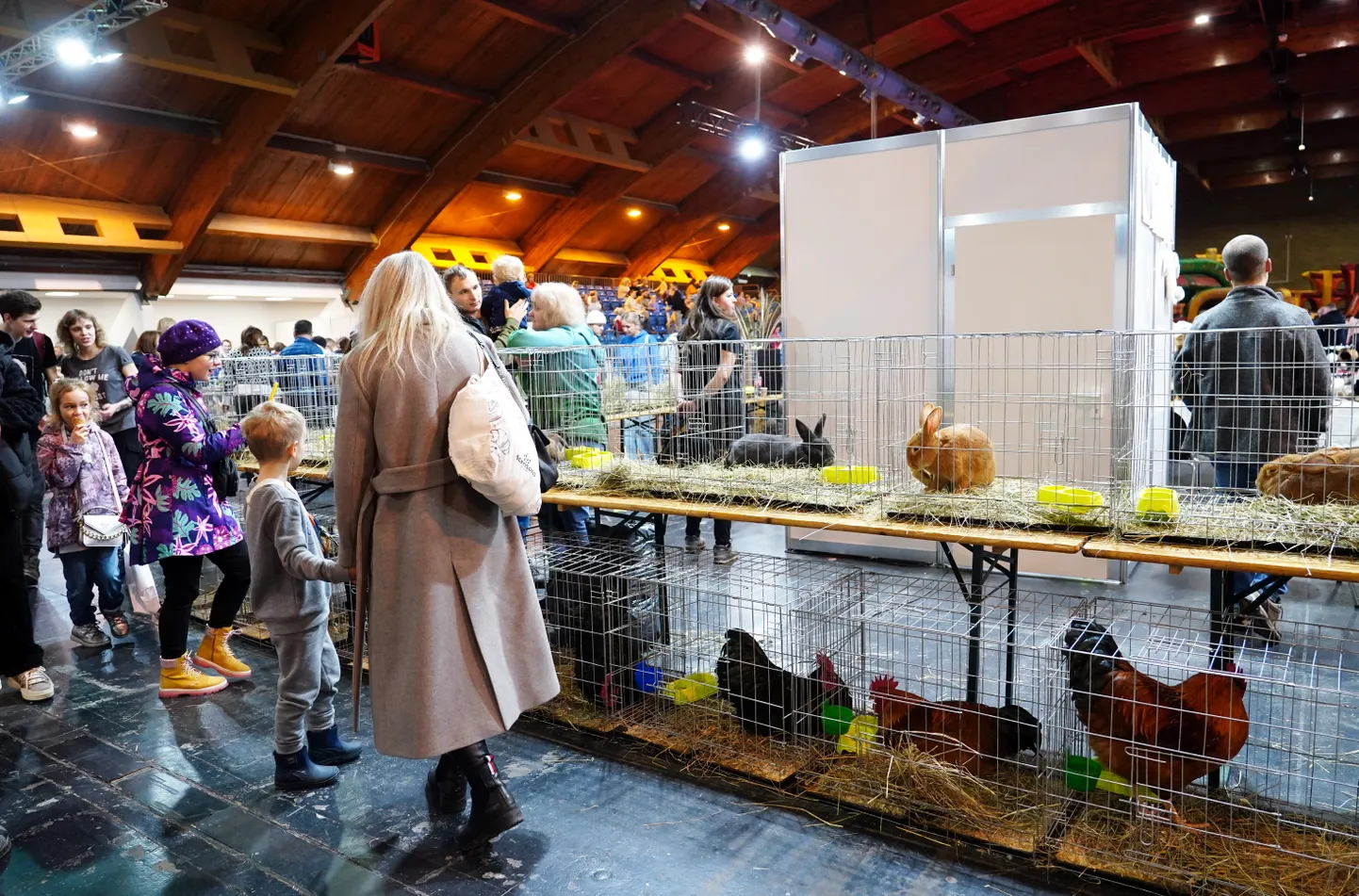 Starptautiskā mājdzīvnieku un zooindustrijas izstāde "ZooExpo 2023" Ķīpsalas izstāžu zālē.