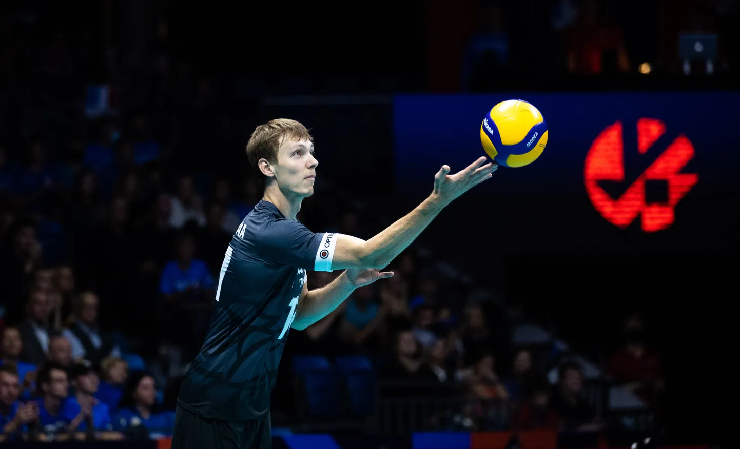 Timo Tammemaa