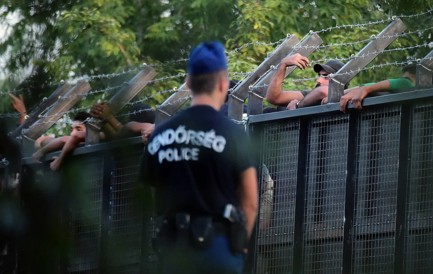Ungari politsei eile M5 kiirtee lähedal aeda valvamas, et migrandid sealtkaudu edasi ei pääseks.