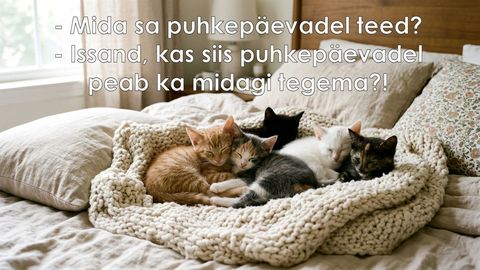 Mida sa puhkepäevadel teed?
