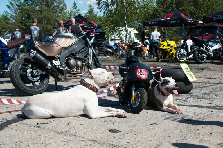 Rutja lennuväljal toimub streetfighter'ite ja stuntrider'ite kokkutulek Smash.