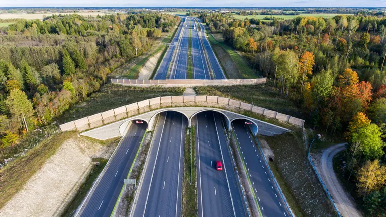 EERO VABAMÄGI/PM/SCANPIX BALTICS