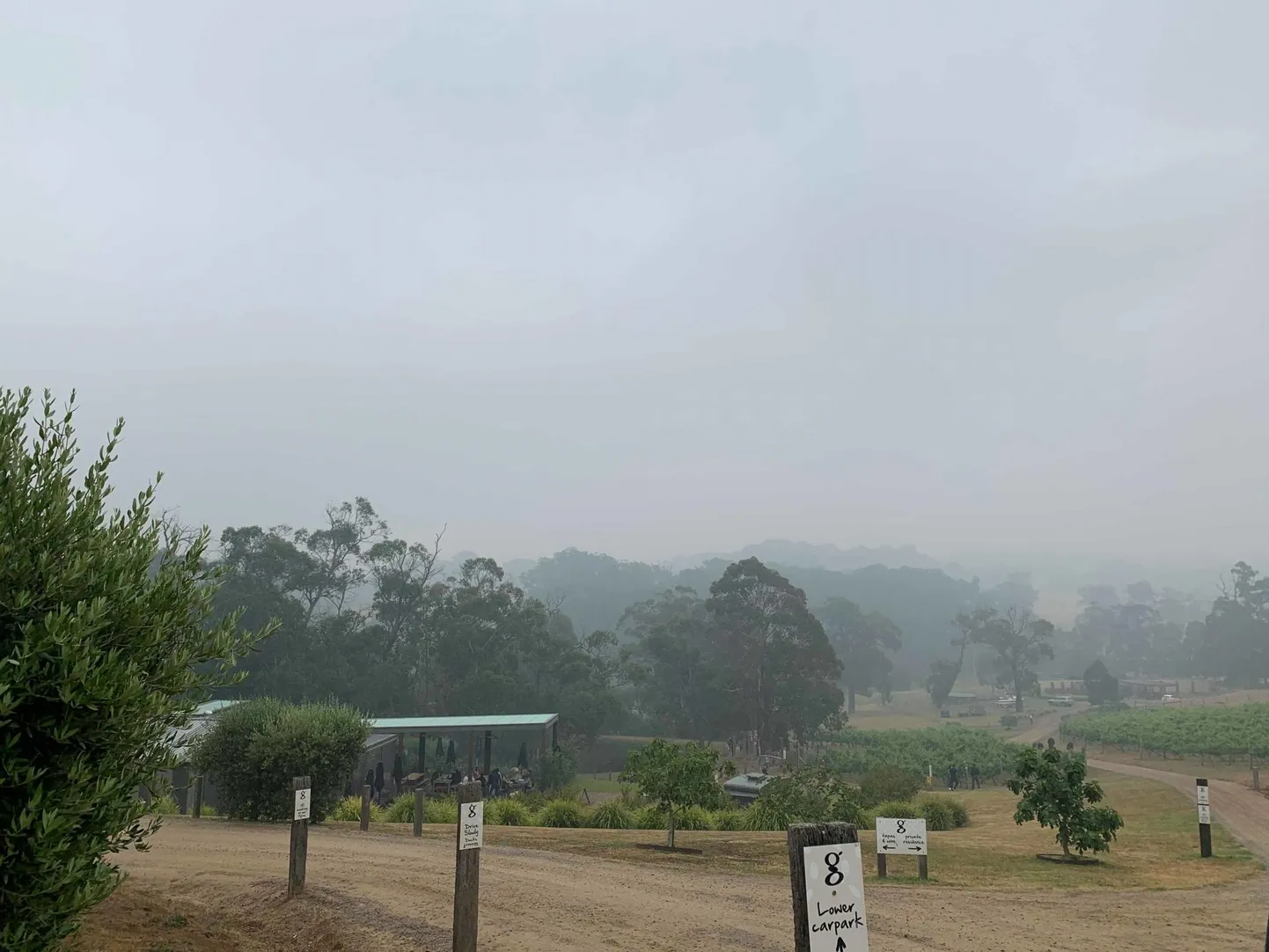 Selle nädala alguse pilt Austraaliast Mornington Peninsula oliiviistandusest räägib selget keelt selle kohta, et tulekahjusuits levib saareriigis laialdaselt.