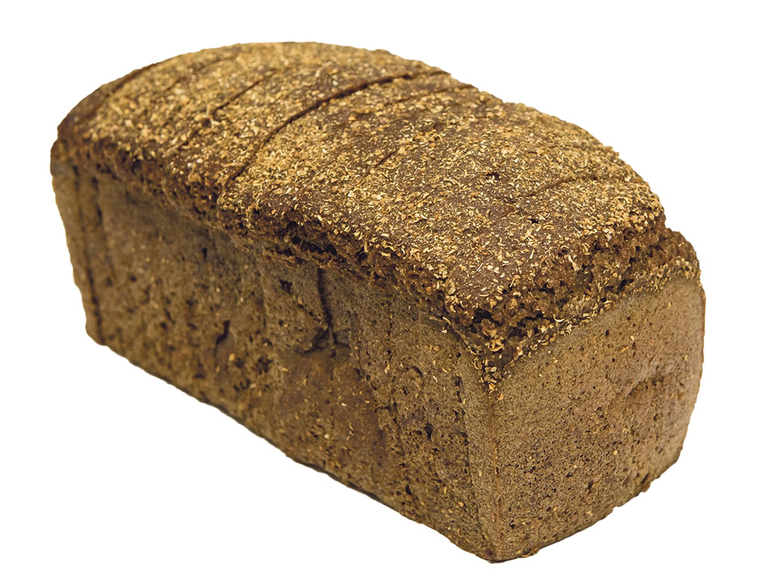 Borodino leib