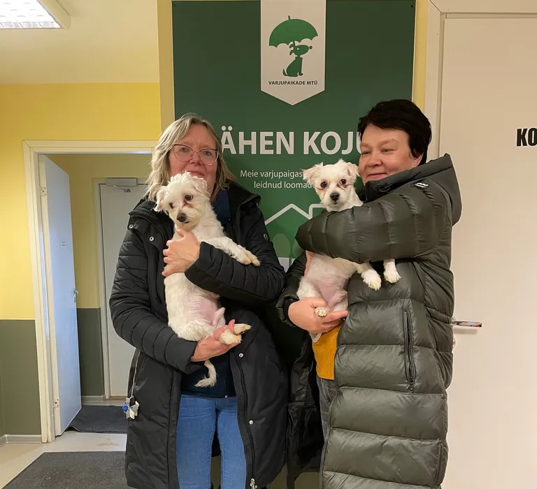 Tänu toetajatele on esimesed koerad juba veterinaarprotseduurid läbinud ja saanud kolida oma uutesse headesse kodudesse.