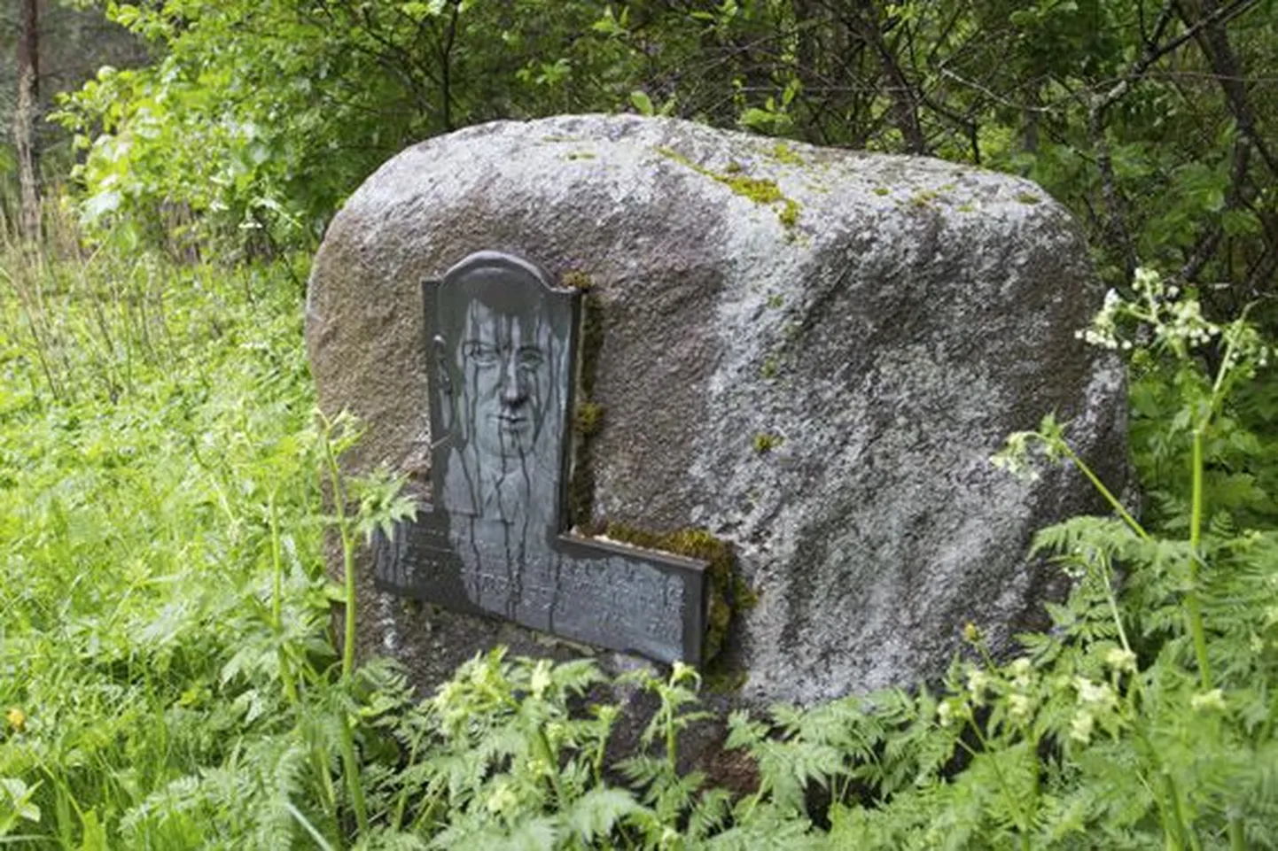 Nigol Andreseni mälestuskivi tema sünnikohas Vanamõisas.