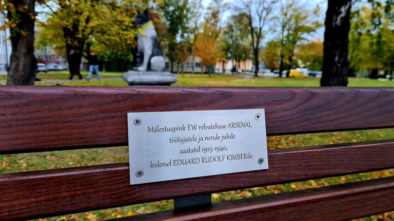 Фото статьи