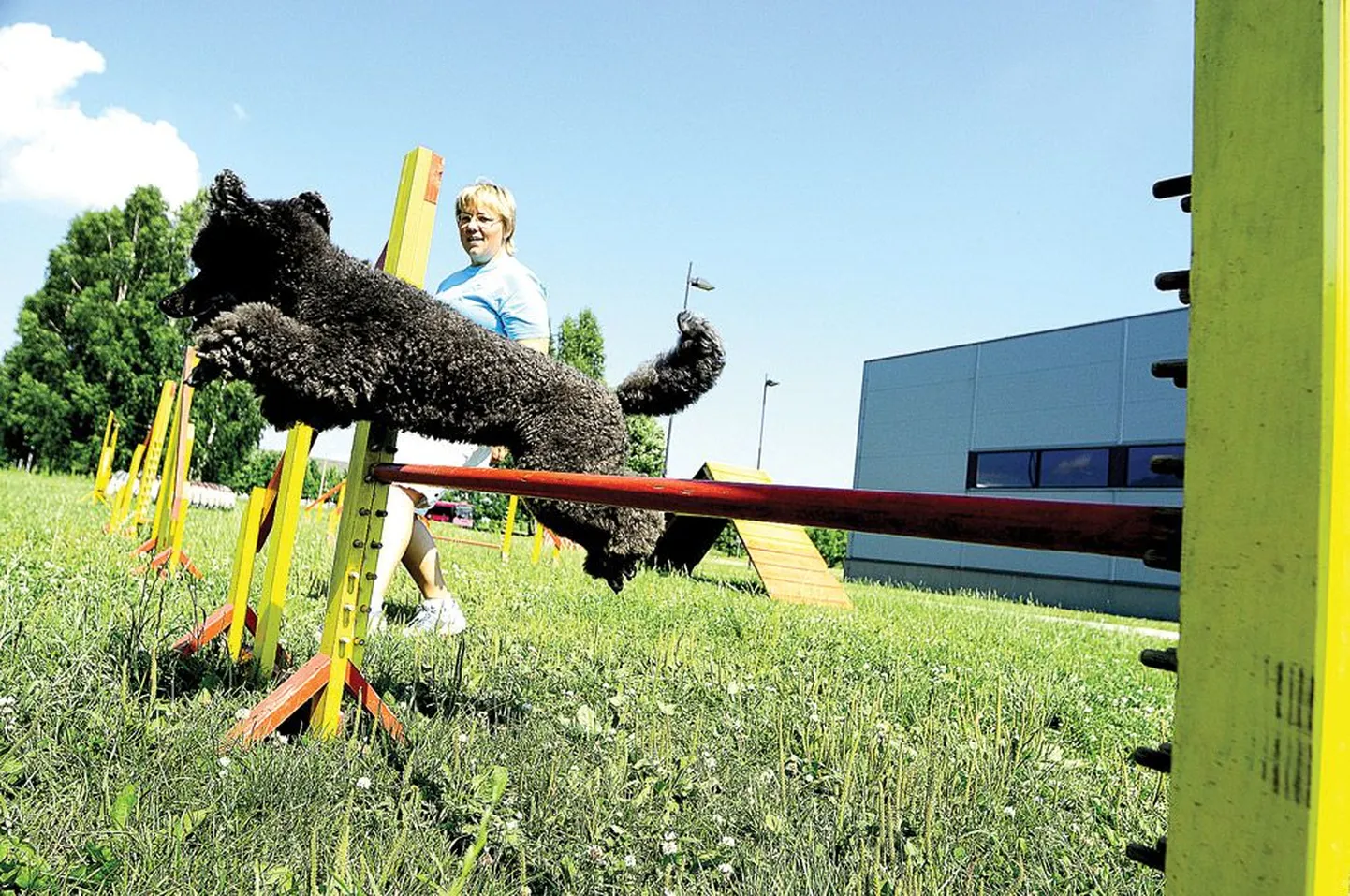 Liivika Pärg ja Eesti agility tšempion – 
väike puudel Piko.