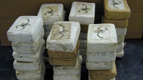 Hollandi toll avastas aasta suurima koguse kokaiini