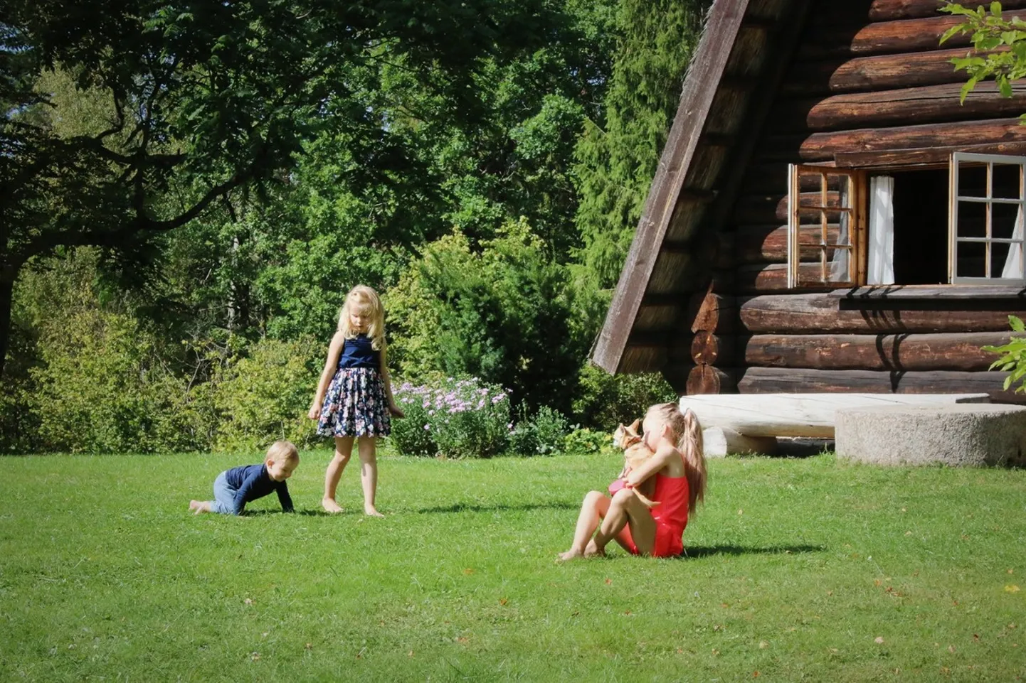 Raksta foto