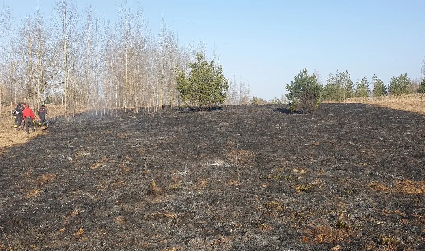 Место ландшафтного пожара в Касаритса.