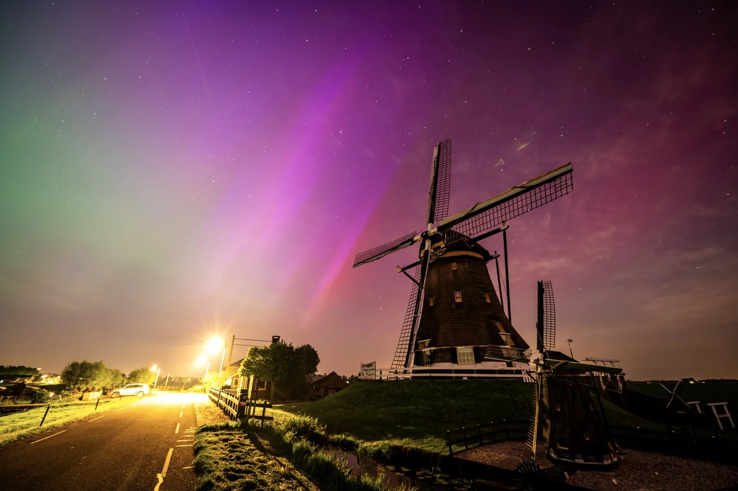 Virmalised Hollandis.