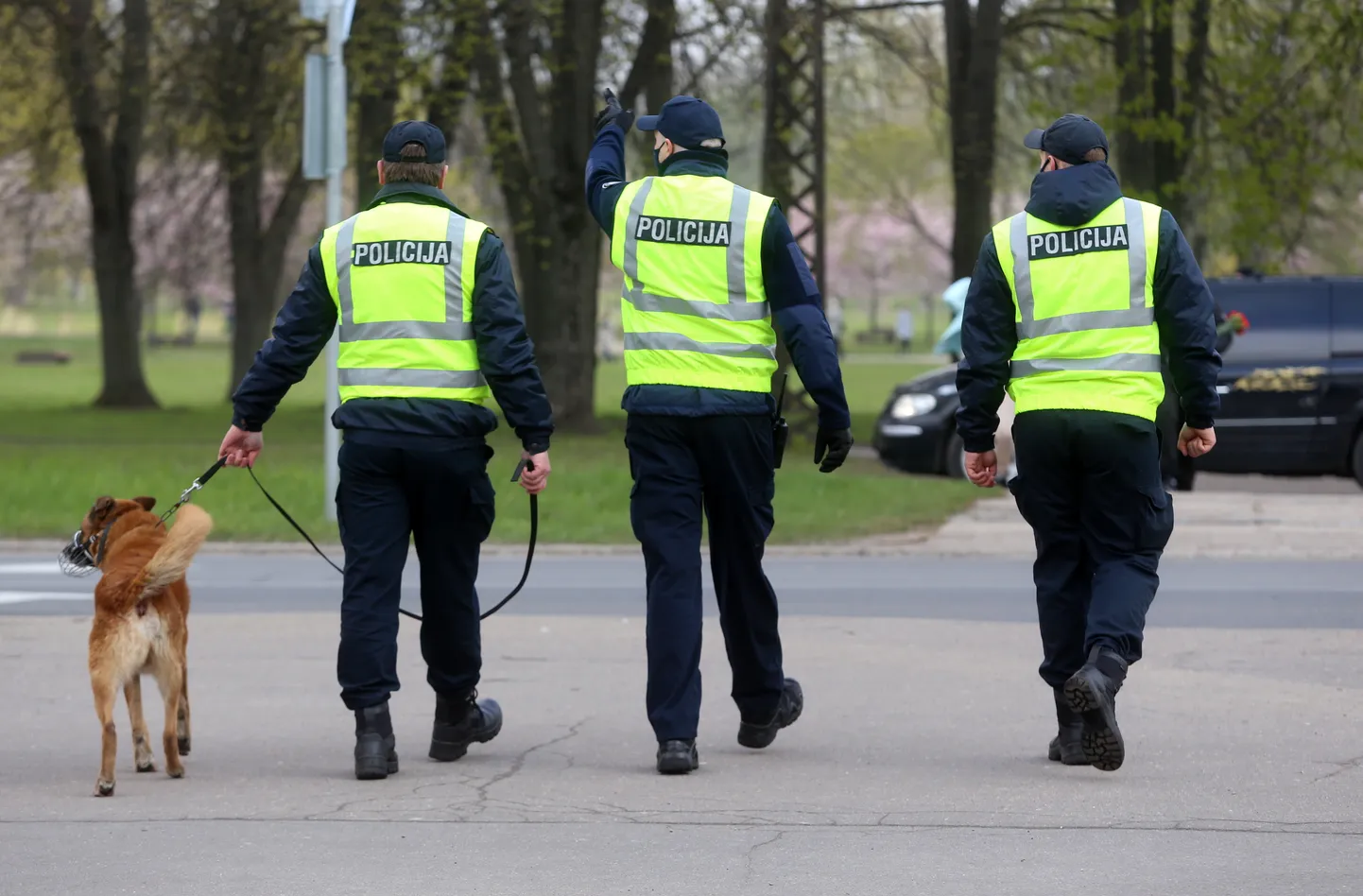 Raksta foto