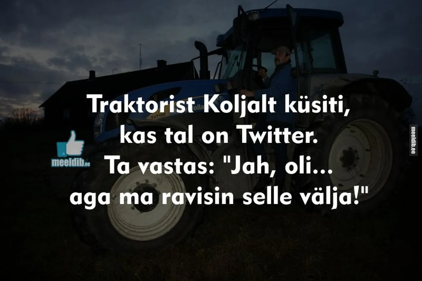 Artikli foto