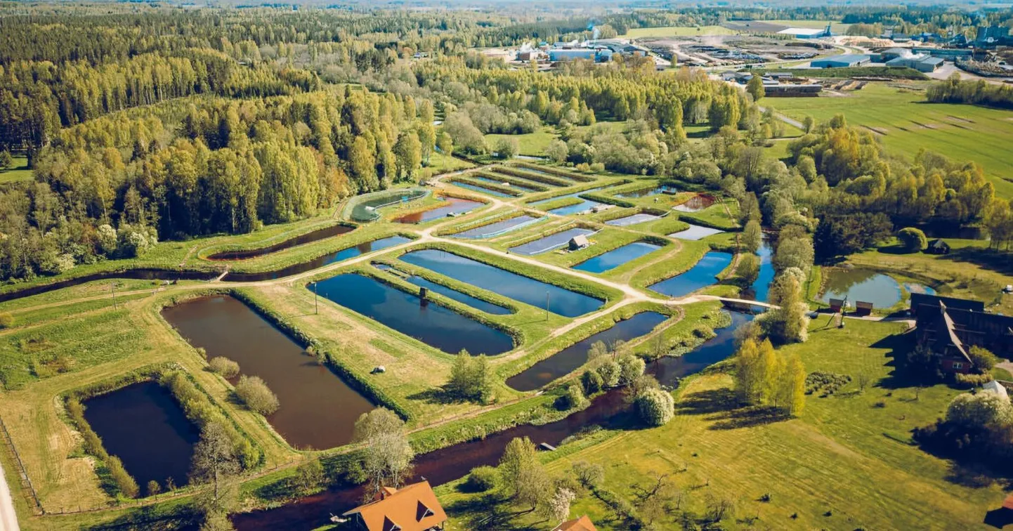 Leoki talu kalakasvanduses on kokku 18 tiiki.