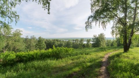 PÄEVAHOROSKOOP ⟩ 22. juuni: Kaljukitse patnerlussuhted õitsevad, Skorpioni vaateväli avardub