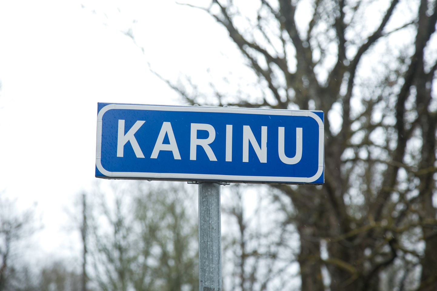 Karinu küla