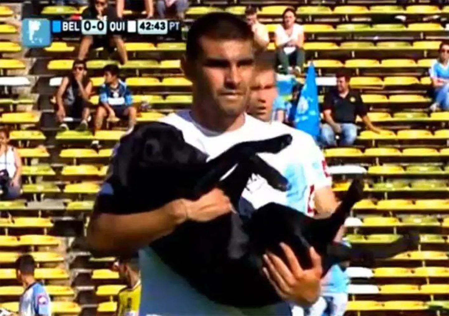 Футболисты в Аргентине трепетно относятся к животным.
