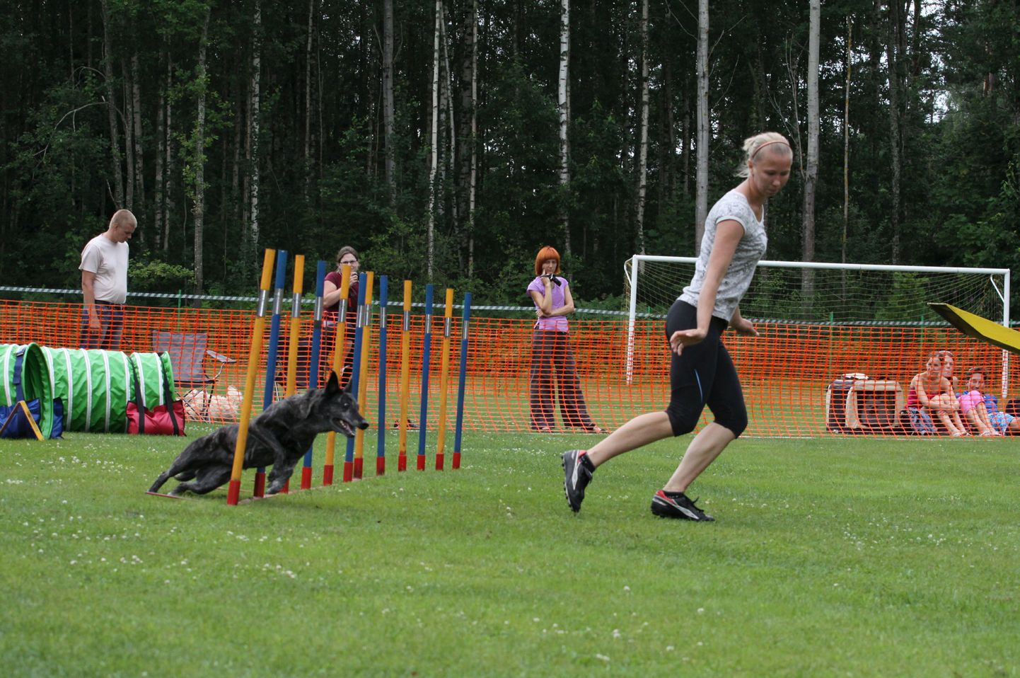Homme kella 10-st toimuvad Viljandis Jakobsoni kooli staadionil koerad agility meistrivõistlused.