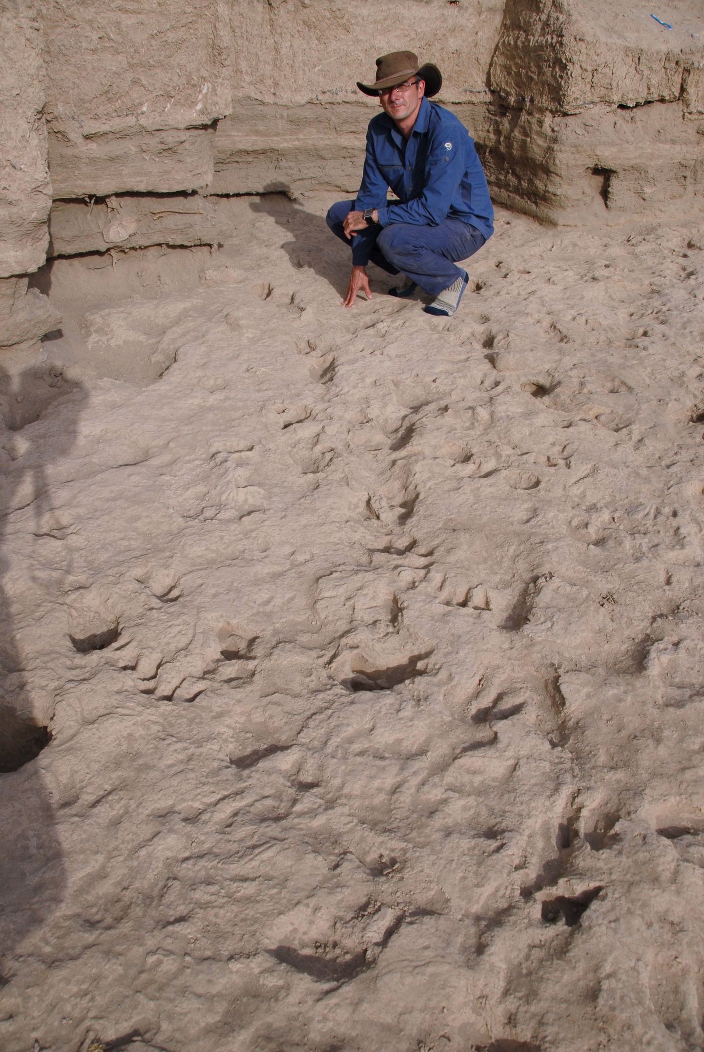 Paleontoloog Matthew Bennett Keeniast leitud 1,5 miljoni aasta vanuste jalajälgede juures